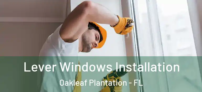 Lever Windows Installation Oakleaf Plantation - FL