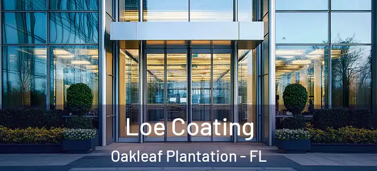 Loe Coating Oakleaf Plantation - FL