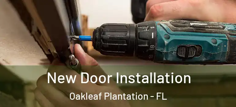 New Door Installation Oakleaf Plantation - FL
