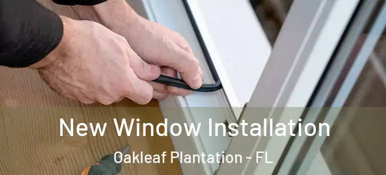 New Window Installation Oakleaf Plantation - FL