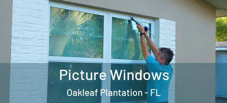 Picture Windows Oakleaf Plantation - FL