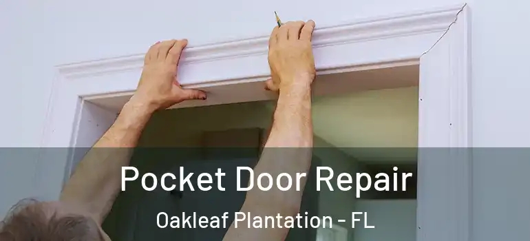 Pocket Door Repair Oakleaf Plantation - FL