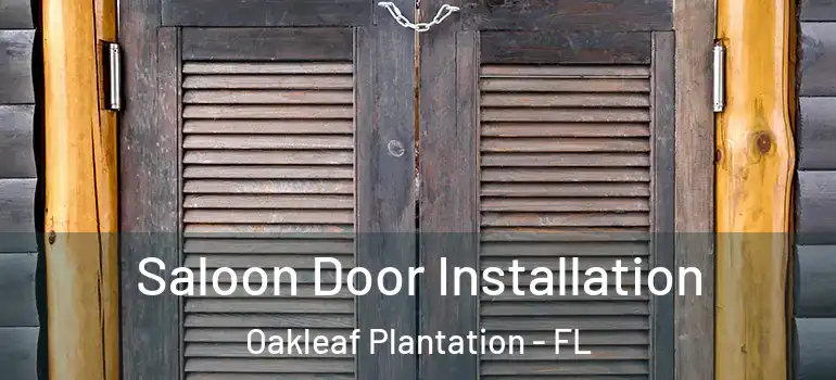 Saloon Door Installation Oakleaf Plantation - FL