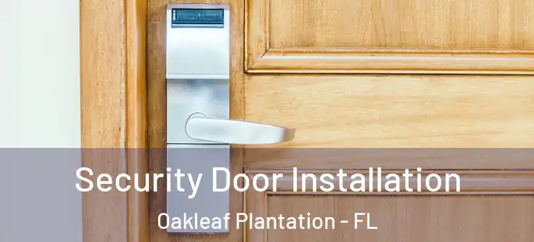Security Door Installation Oakleaf Plantation - FL