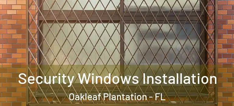 Security Windows Installation Oakleaf Plantation - FL