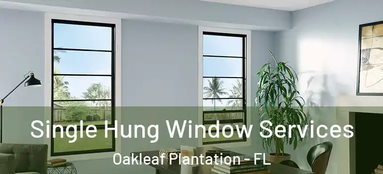 Single Hung Window Services Oakleaf Plantation - FL