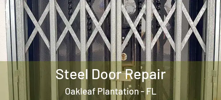 Steel Door Repair Oakleaf Plantation - FL
