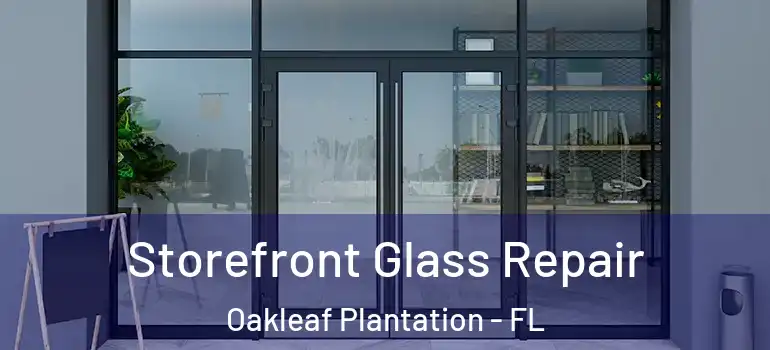 Storefront Glass Repair Oakleaf Plantation - FL