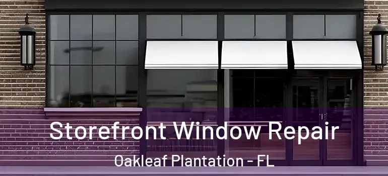 Storefront Window Repair Oakleaf Plantation - FL