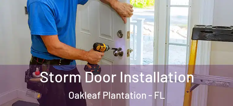 Storm Door Installation Oakleaf Plantation - FL