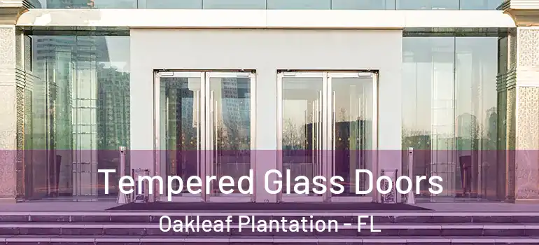 Tempered Glass Doors Oakleaf Plantation - FL