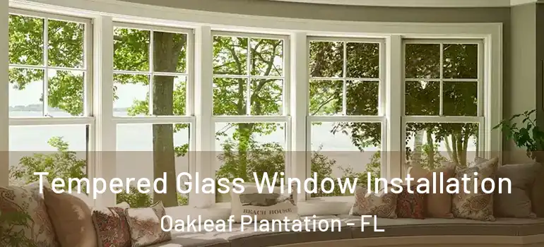 Tempered Glass Window Installation Oakleaf Plantation - FL