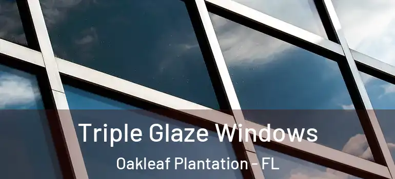 Triple Glaze Windows Oakleaf Plantation - FL