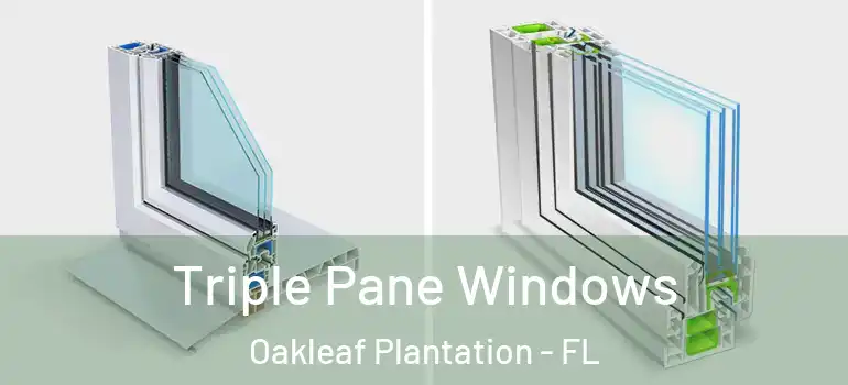 Triple Pane Windows Oakleaf Plantation - FL