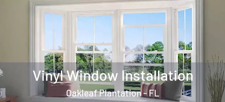 Vinyl Window Installation Oakleaf Plantation - FL