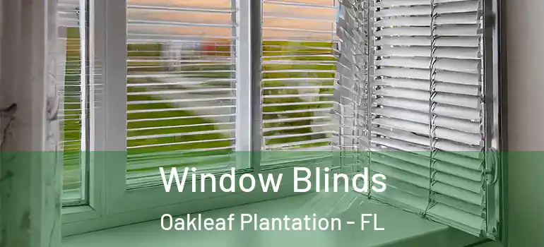 Window Blinds Oakleaf Plantation - FL