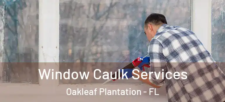 Window Caulk Services Oakleaf Plantation - FL