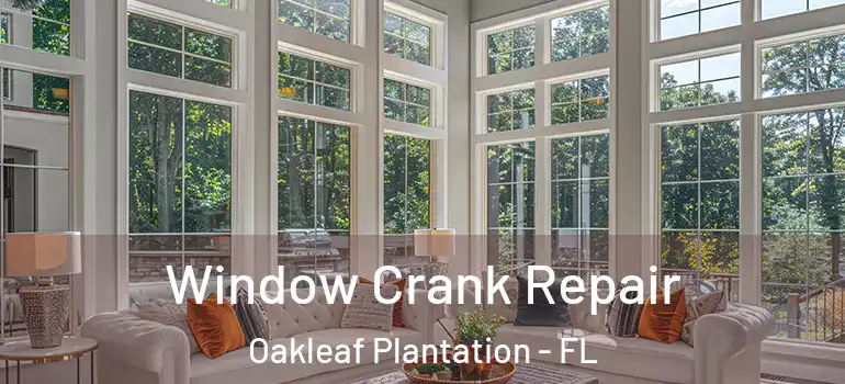 Window Crank Repair Oakleaf Plantation - FL