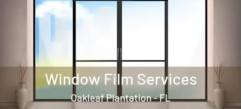 Window Film Services Oakleaf Plantation - FL