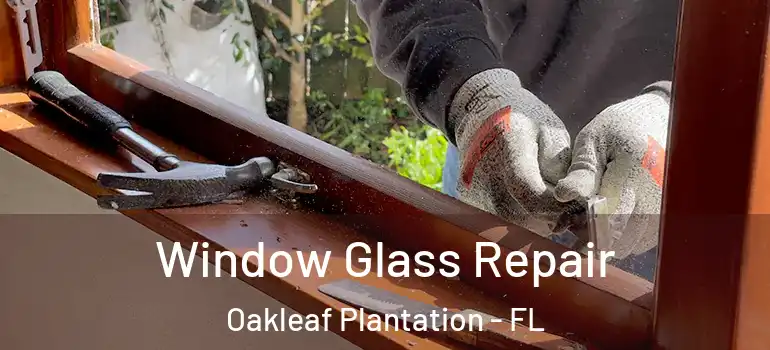 Window Glass Repair Oakleaf Plantation - FL