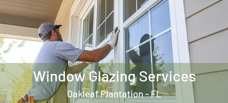 Window Glazing Services Oakleaf Plantation - FL