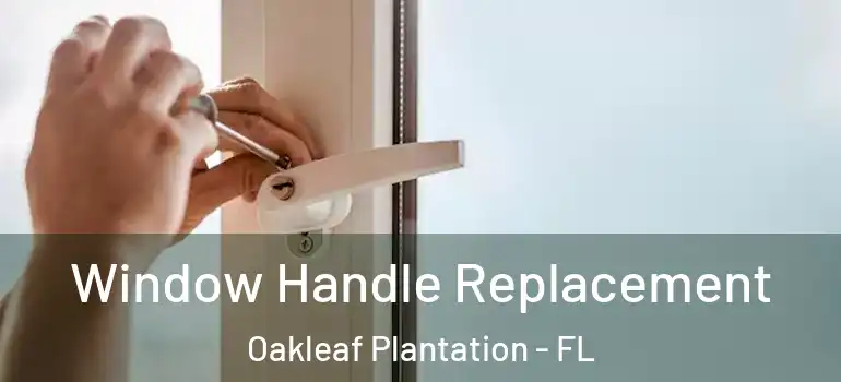 Window Handle Replacement Oakleaf Plantation - FL
