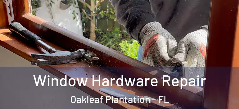Window Hardware Repair Oakleaf Plantation - FL