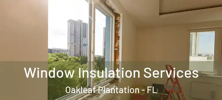 Window Insulation Services Oakleaf Plantation - FL