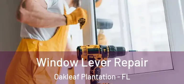 Window Lever Repair Oakleaf Plantation - FL