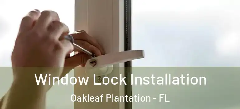 Window Lock Installation Oakleaf Plantation - FL