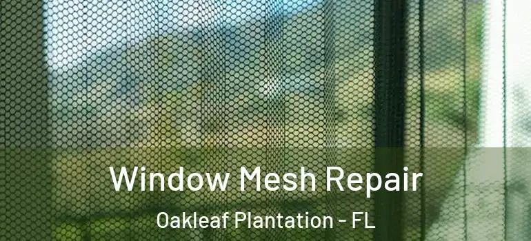 Window Mesh Repair Oakleaf Plantation - FL