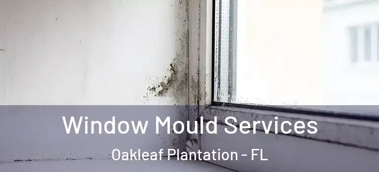Window Mould Services Oakleaf Plantation - FL