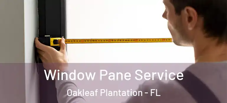 Window Pane Service Oakleaf Plantation - FL