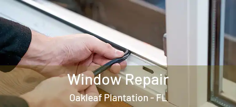 Window Repair Oakleaf Plantation - FL