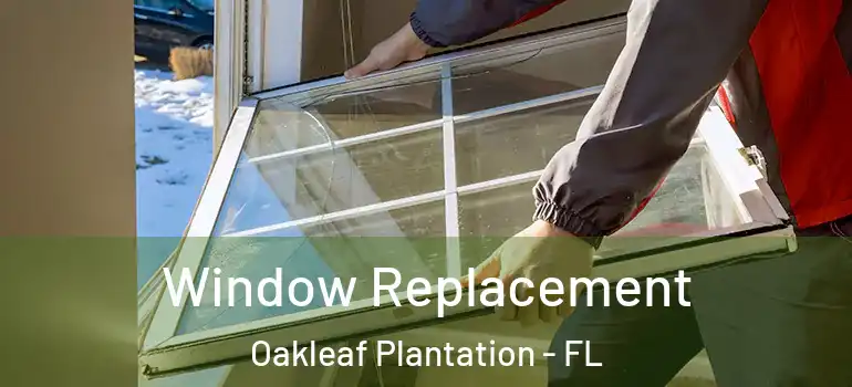 Window Replacement Oakleaf Plantation - FL
