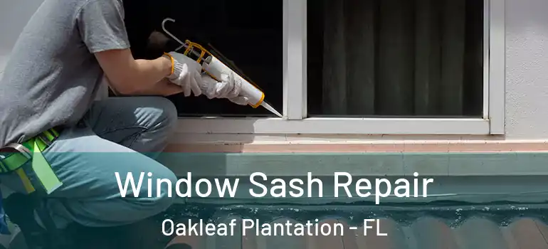 Window Sash Repair Oakleaf Plantation - FL