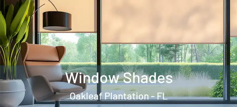 Window Shades Oakleaf Plantation - FL