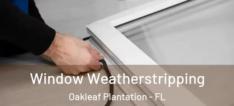 Window Weatherstripping Oakleaf Plantation - FL