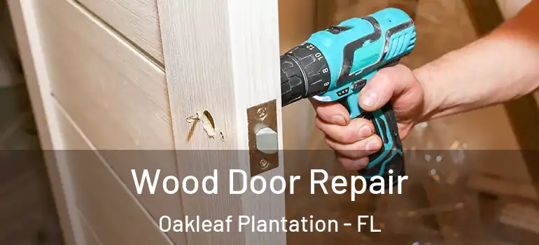 Wood Door Repair Oakleaf Plantation - FL