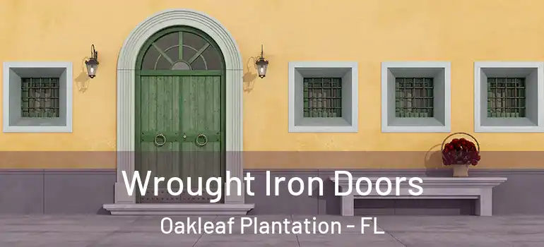 Wrought Iron Doors Oakleaf Plantation - FL